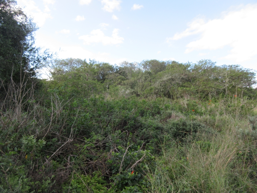 0 Bedroom Property for Sale in Bathurst Eastern Cape